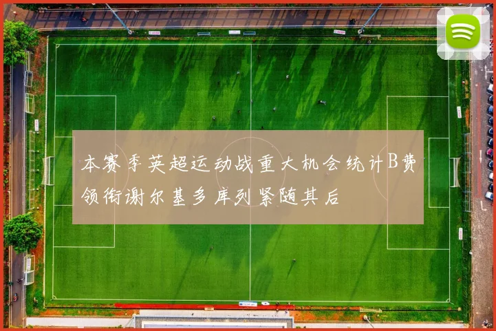 本赛季英超运动战重大机会统计B费领衔谢尔基多库列紧随其后